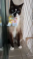 Meg