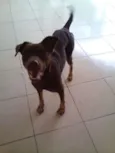 Meg (demos o nome)