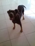 Meg (demos o nome)