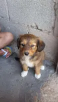 Mel