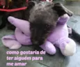 PRETINHO