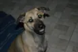 Nina
