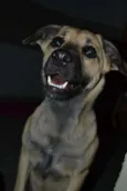 Nina