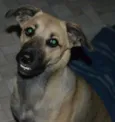 Nina