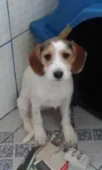 Nina