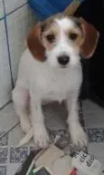 Nina