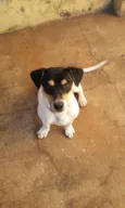 Junior