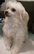 Sofie