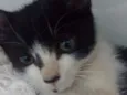 nao tem 