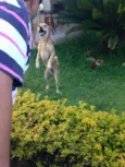 THOR/PRINCESA