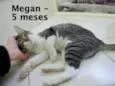 Megan