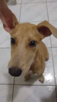 ___