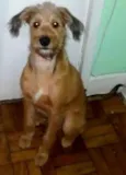 Delgado