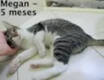 Megan