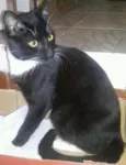 Branca e Robson