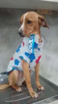 sid