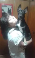 Cachorro raça SRD idade 1 ano nome Xepa