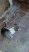 Negão/branquinha