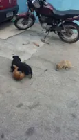 Negão/branquinha