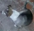 Negão/branquinha