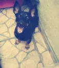 Paty