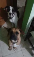 Raika e Nero
