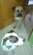 Raika e Nero