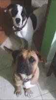 Raika e Nero