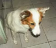 Luma