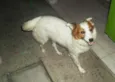 Luma