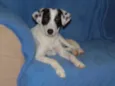 Jack