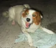 Luma
