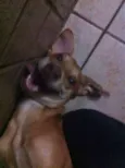 Lennon