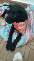 NÃO TEM NOME