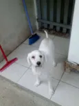 manu