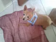 xikito