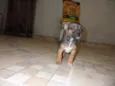 Zeus 