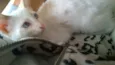 Elsa e Olaf