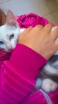 Elsa e Olaf