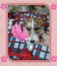 Bonequinha