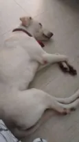Rayka
