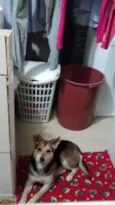 Não sei
