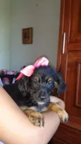 Princesa 