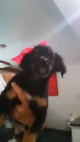 Princesa 