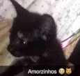 Indefinido