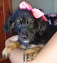 Princesa