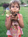 Bebe