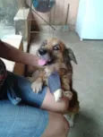 Bolinha