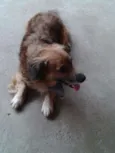 Bolinha