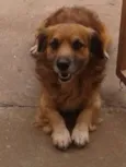 Bolinha